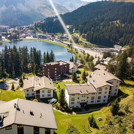 Rehwiesa B24 By Arosa