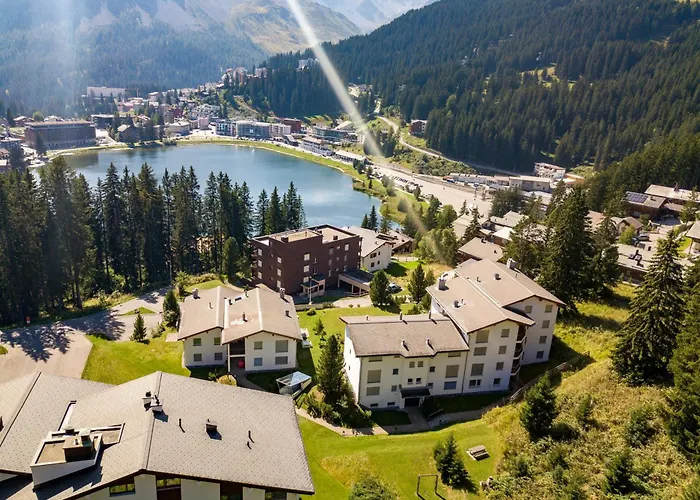 Rehwiesa B24 By Arosa